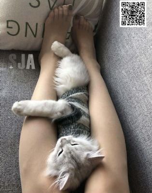 司机的其他工作电影