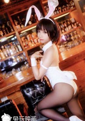 雏菊2