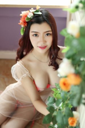 红苹果乐园电视剧免费完整版