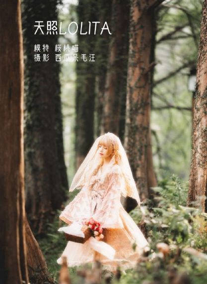 洛奇6