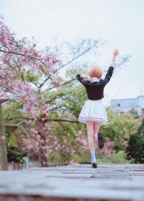 战狼战狼电视剧免费观看完整版